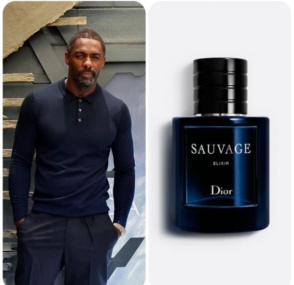 DIO_R SAUVAGE ELIXIR